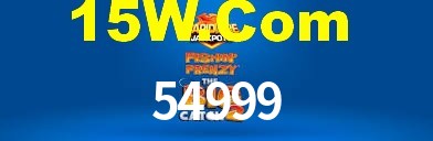 54999 App Interface